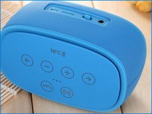 Prenosné stĺpce Bluetooth: Čo sa stane a čo si môžete vybrať?