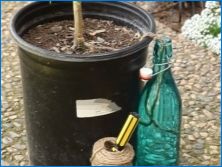 Kvapkové zalievanie pre vnútorné rastliny: zásada prevádzky a poradenstvo v oblasti organizácie