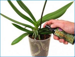 Lepkavé kvapky na orchided listy: Čo robiť?