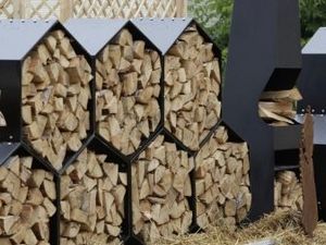 Všetko o pouličných drevorezbách a alternatívnych možnostiach skladovania pre palivové drevo