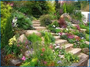 Záhradný a záhradný dizajn v oblasti krajiny