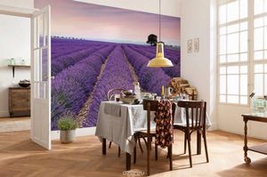Vyberte si maľby pre kuchyňu v štýle Provence