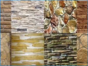 Čelné kameň pre dekoráciu interiéru: Odrody a možnosti dizajnu