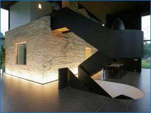Čelné kameň pre dekoráciu interiéru: Odrody a možnosti dizajnu