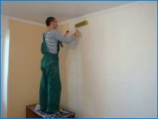 Steny na maľovanie: postup pri opravách