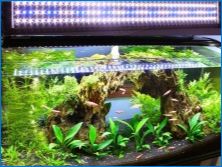 LED stuhy na akvárium