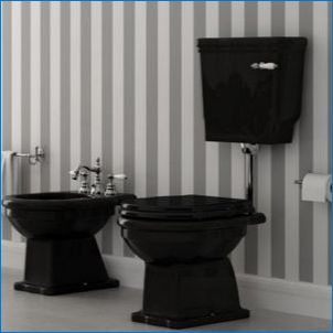 Čierne WC: Moderné dizajnové trendy
