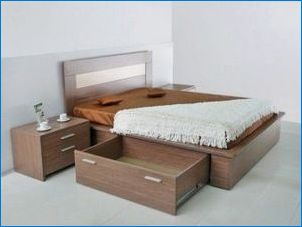 Vlastnosti výberu postele