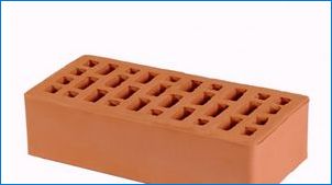 Brick 1NF - Single Troup Brick