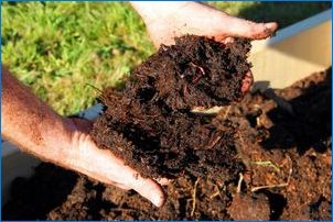 Aké hnojivá, aby vyrobili jeseň a ako to urobiť správne?