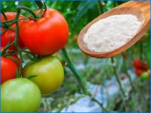 Ako používať sódu pre paradajky?
