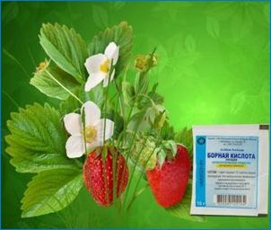 Použite kyselinu boritú pre jahody