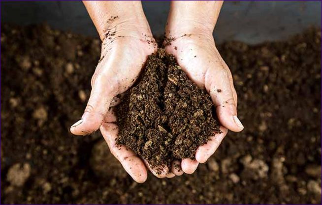 Organické hnojivá: pravidlá používania, výroba vlastného hnojiva