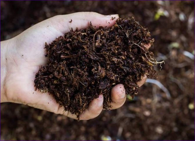 Organické hnojivá: pravidlá používania, výroba vlastného hnojiva