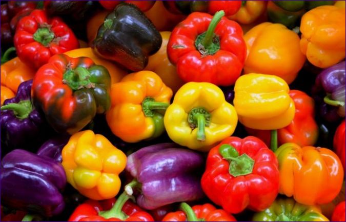 Tvarovanie a starostlivosť o papriky