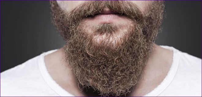 Ako rýchlo pestovať bradu doma: pokyny