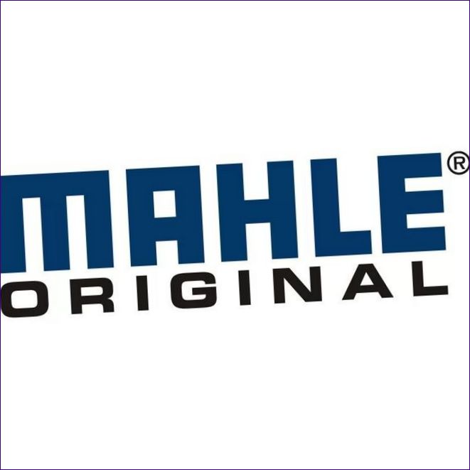 Mahle Original