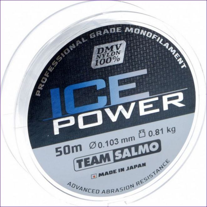 Salmo Ice Power