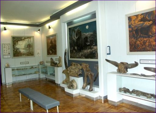 Múzeum miestnej histórie Volsk