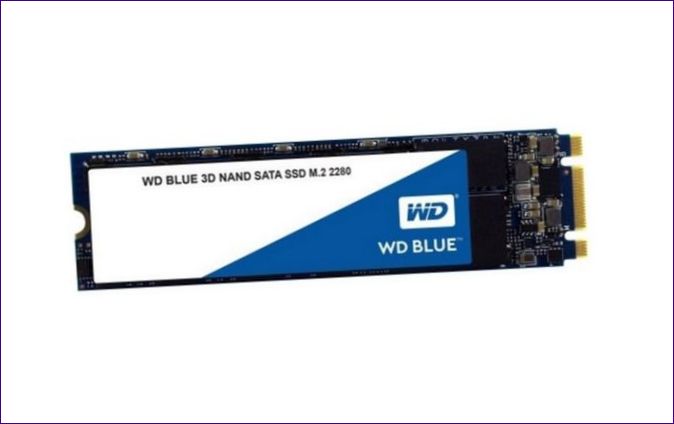 SSD disk Western Digital WD BLUE 3D NAND SATA 500 GB (WDS500G2B0B)