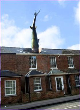 Headington Shark (Oxford, Spojené kráľovstvo)