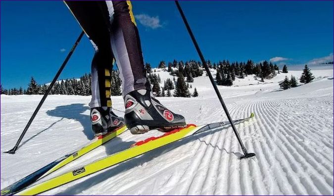 Výber správnych bežeckých lyží